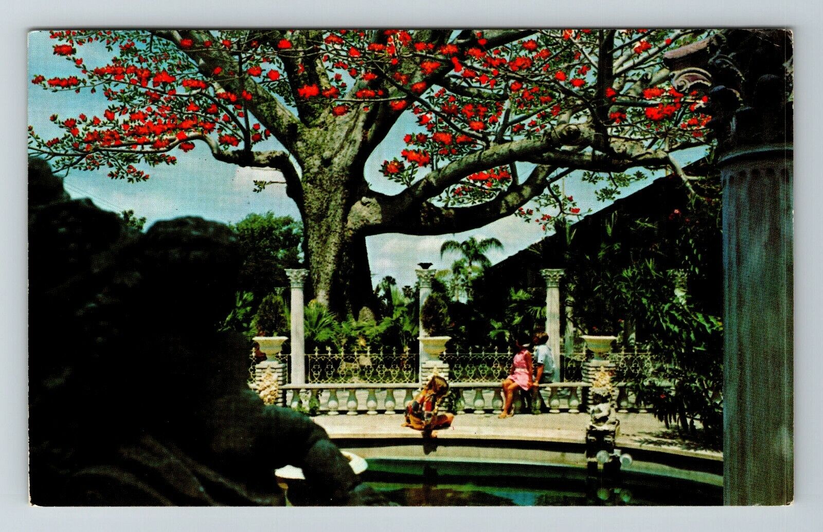 Clearwater FL-Florida, The Kapok Tree Inn  Vintage Souvenir Postcard