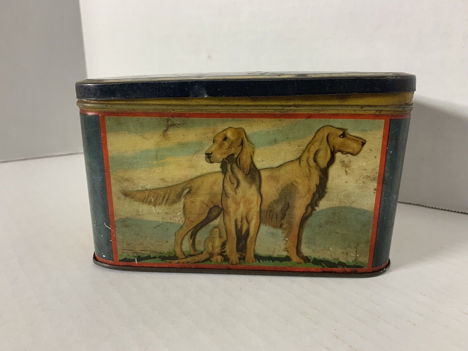 Vintage Burton’s Biscuits Dog Tin