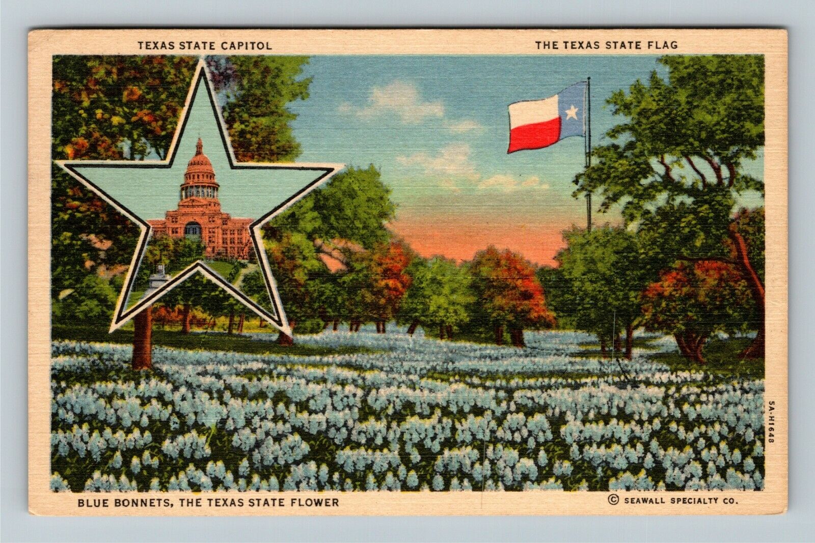 TX-Texas, Texas State Capitol, State Flag, Blue Bonnets, Vintage Postcard
