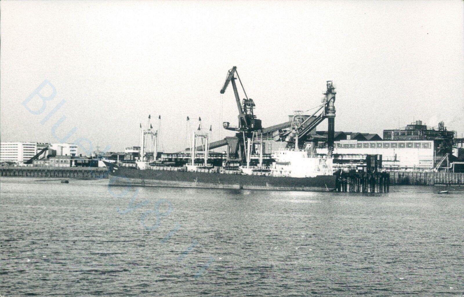 Cyprus MV Pericles at silvertown 1992 ship photo docked