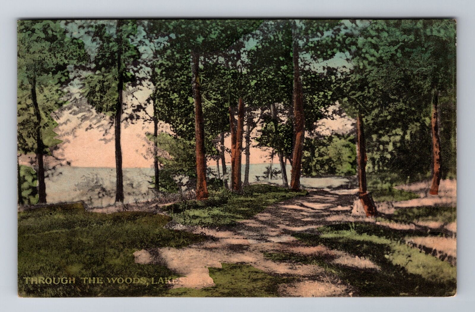 Lakeside OH-Ohio, Through The Woods, Antique, Vintage Souvenir Postcard