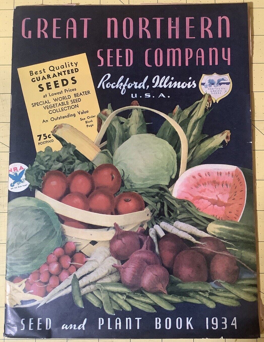 1934 Great Northern Seed Company Catalog Rockford Illinois INV-P0803