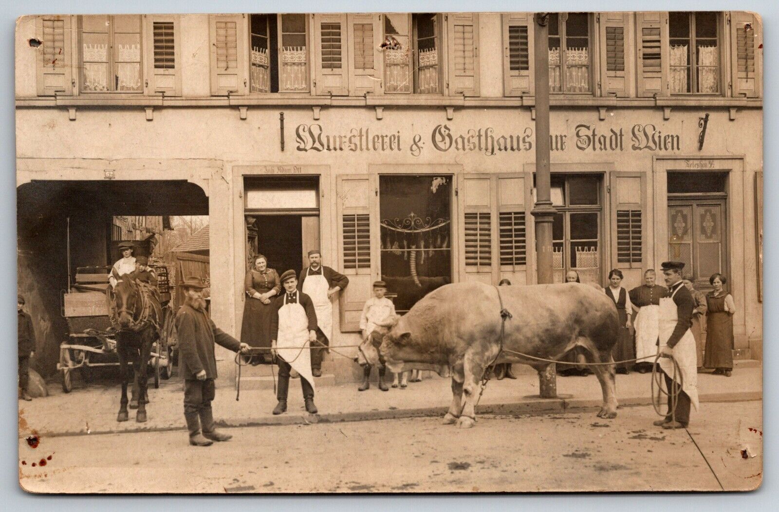 c 1920 RPPC Postcard Vienna Austria Butcher Beef Cattle Gasthaus Inn Vurstlerei