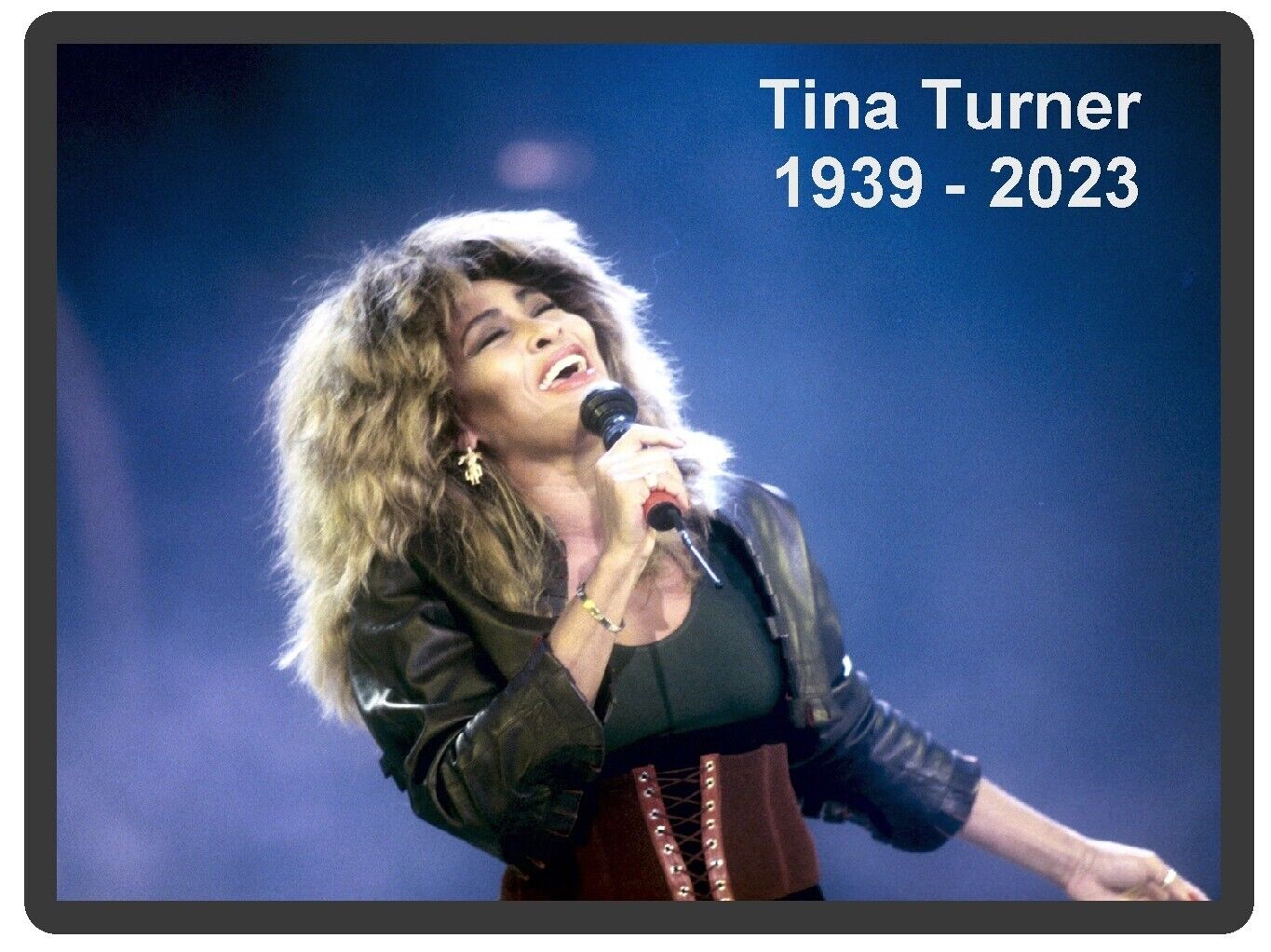 Tina Turner Memorial Refrigerator Magnet
