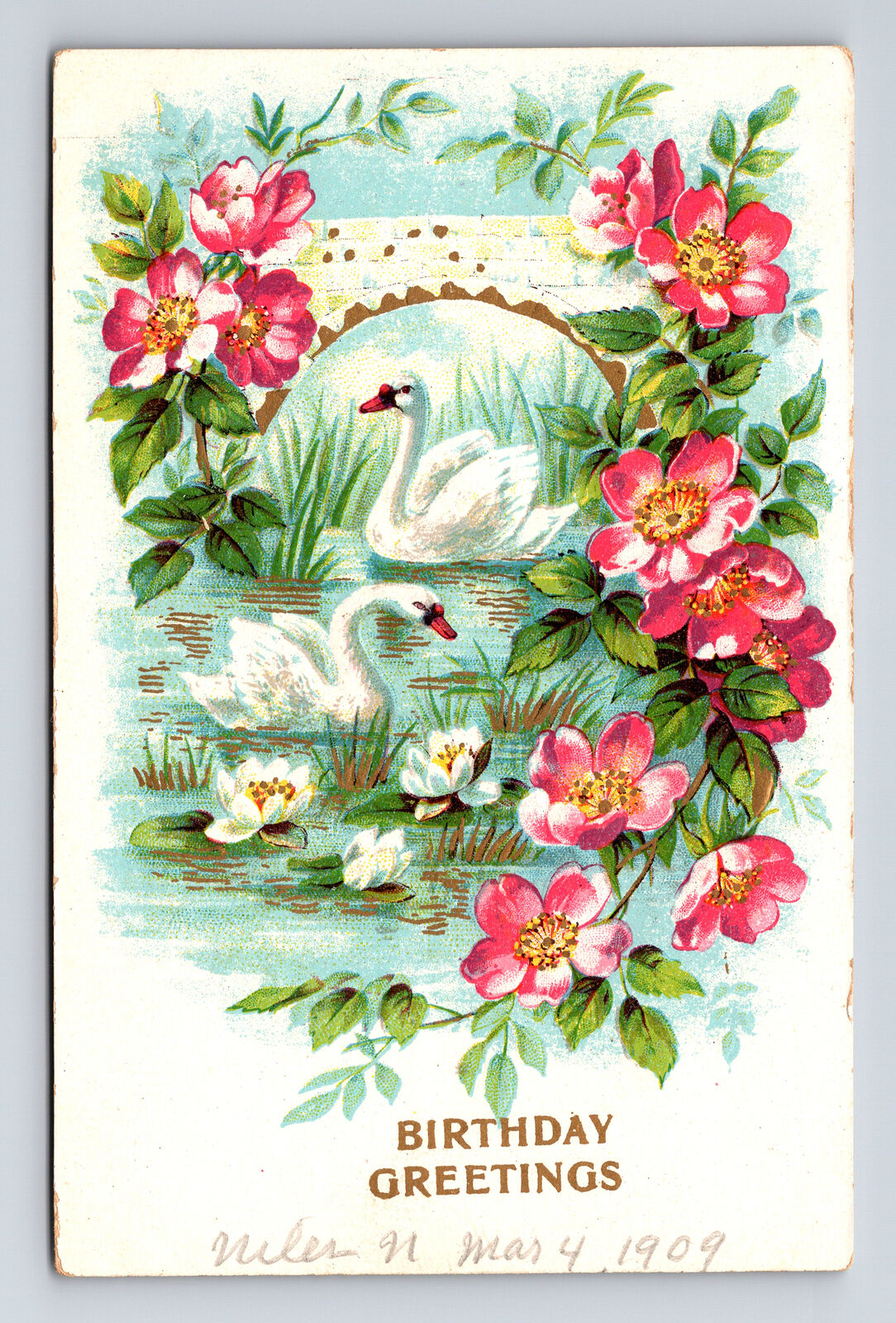 1909 White Swan and Pink Flowers Birthday Greetings Postcard