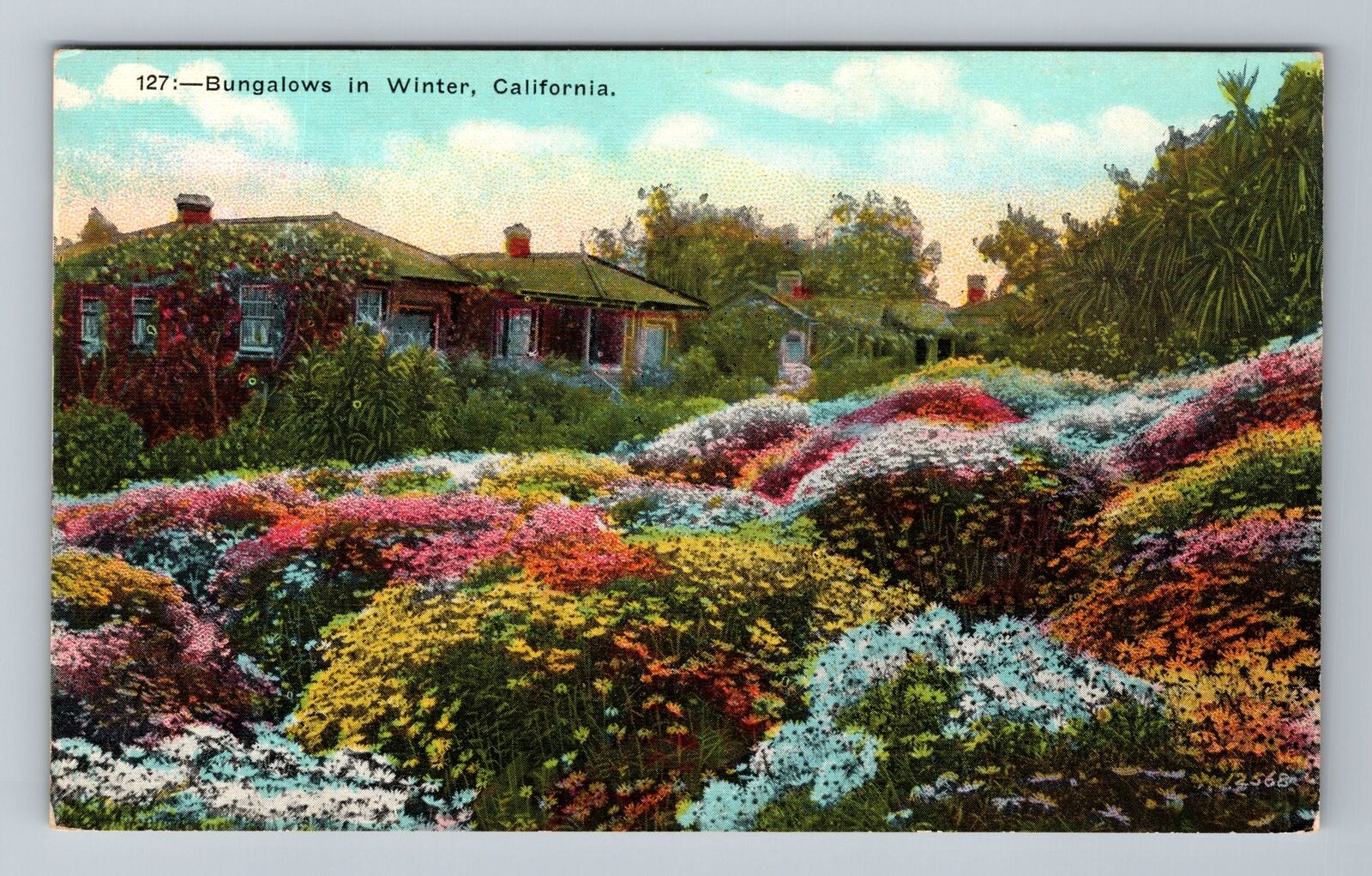 CA-California, Bungalows In Winter, Scenic View, Vintage Postcard