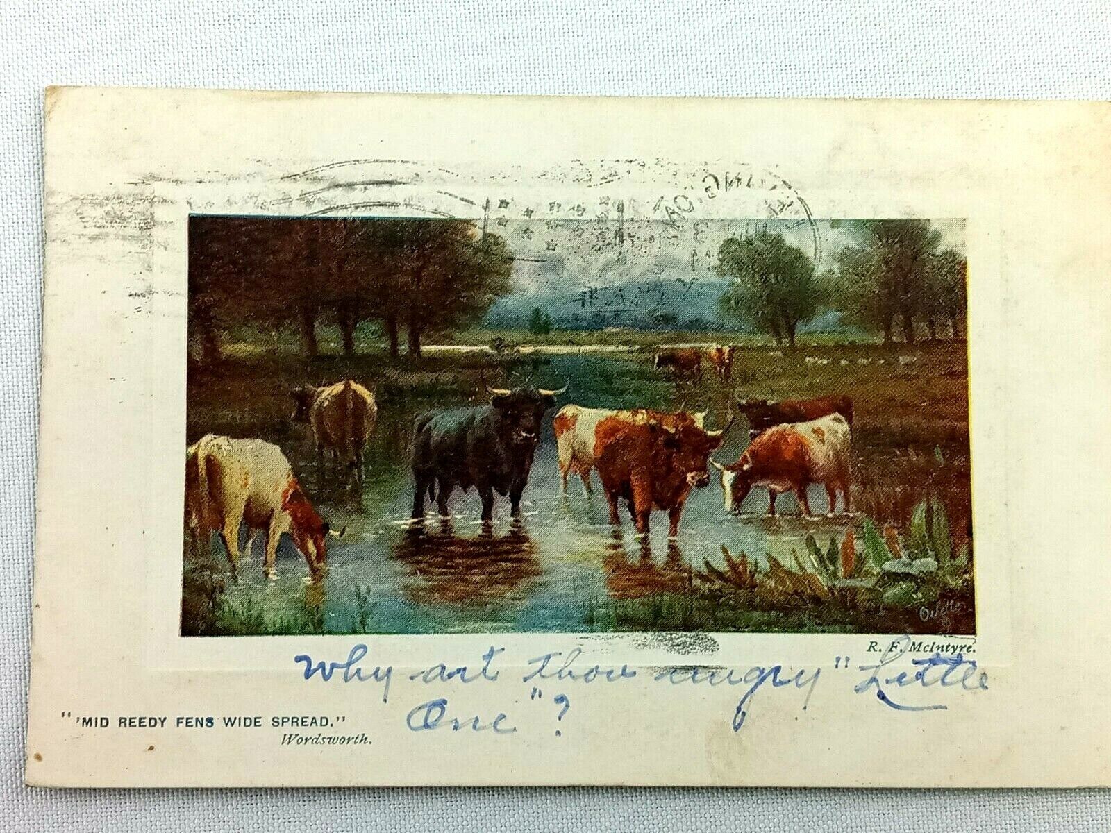 Vintage Postcard 1909 Mid Reedy Wide Spread Wordworth Cows Stream R.F. McIntyre