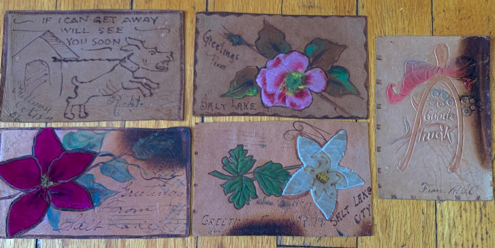 Lot 5 1906 Leather Postcards from Utah One Recipient Suede Flowers Fire Damage