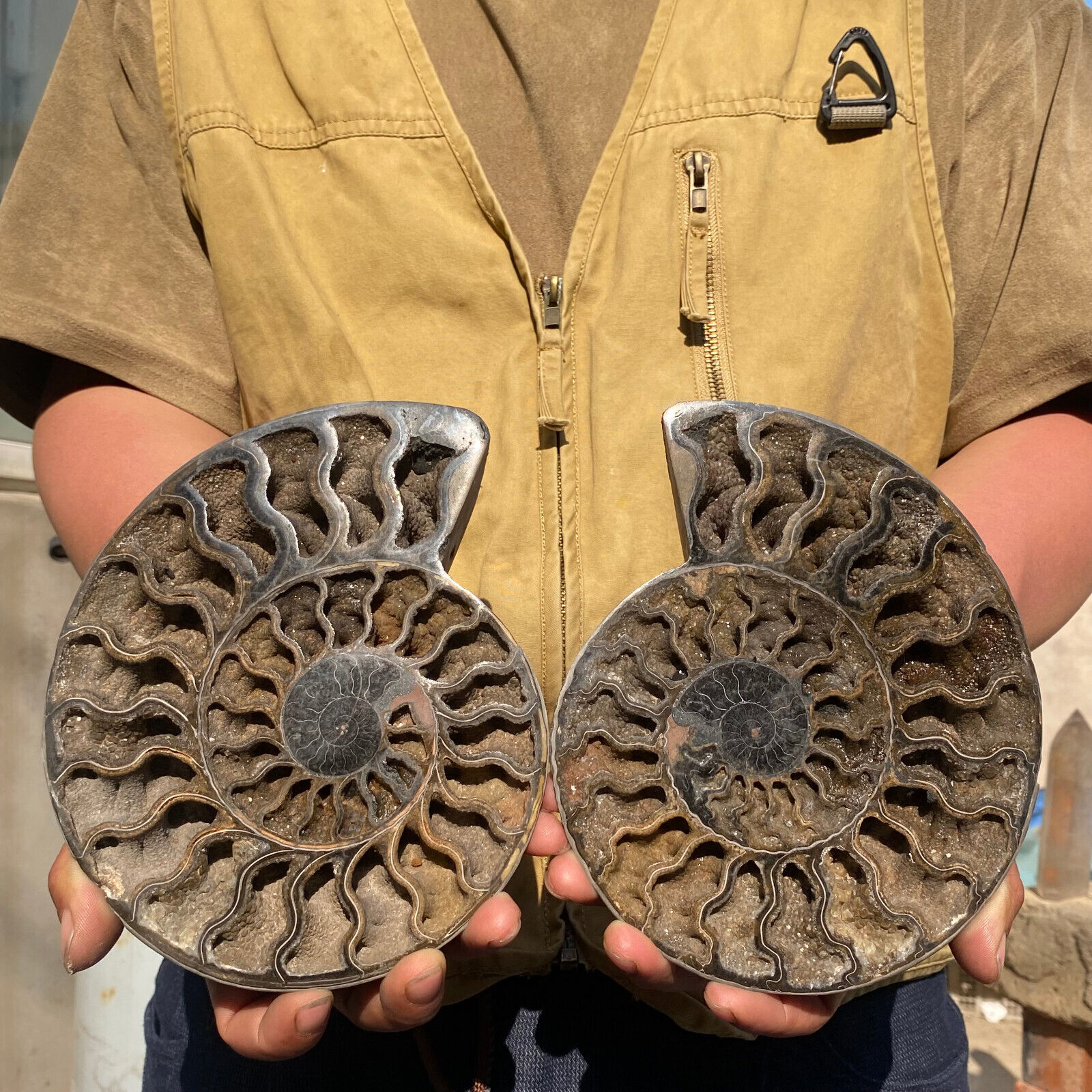 907g RARE Cut Split PAIR Ammonite Deep Crystals Cavity Fossil Rough Specimen