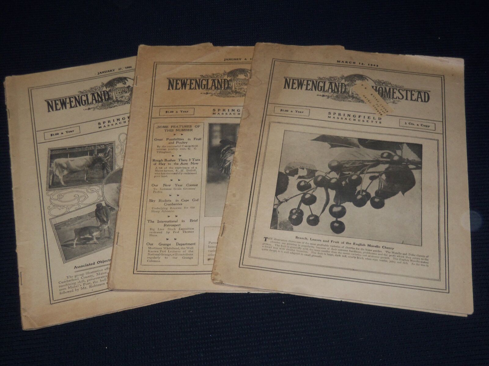 1903-1906 NEW ENGLAND HOMESTEAD NEWSPAPER LOT OF 3 - SPRINGFIELD MASS - NP 3878B