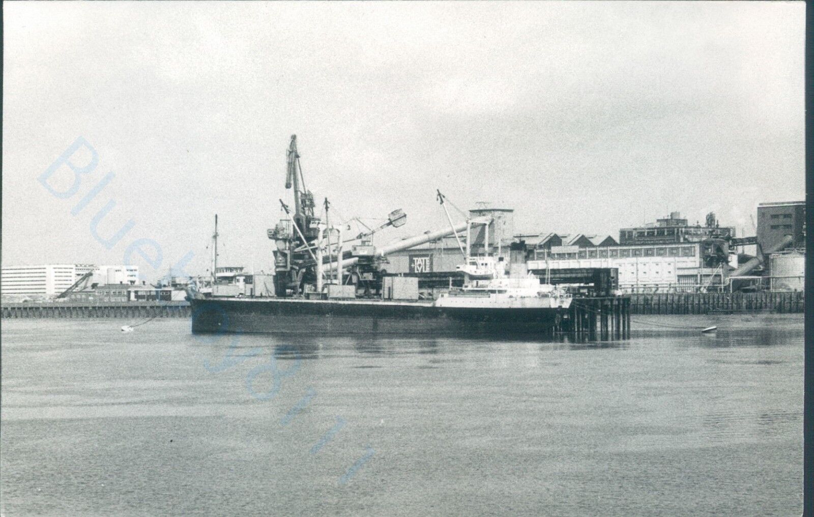 Cyprus Mv Chinook at silvertown 1993 ship photo docked