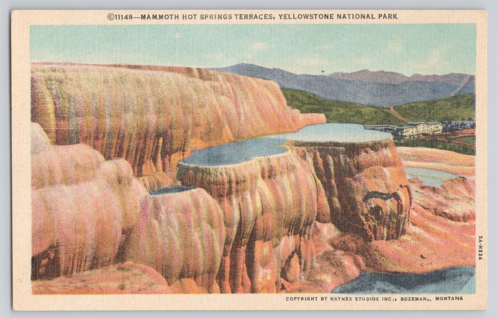 Postcard Mammoth Hot Springs Terraces, Yellowstone National Park