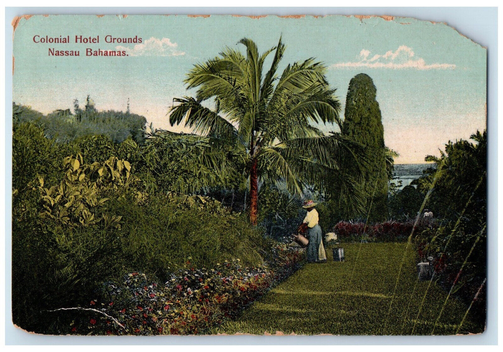 1914 Watering Plants Colonial Hotel Grounds Nassau Bahamas Antique Postcard