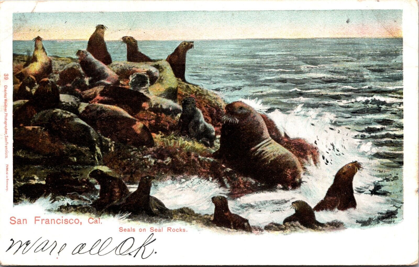 Postcard CA Seals on Rocks San Francisco Breaking Waves Charles Weidner Photo C4