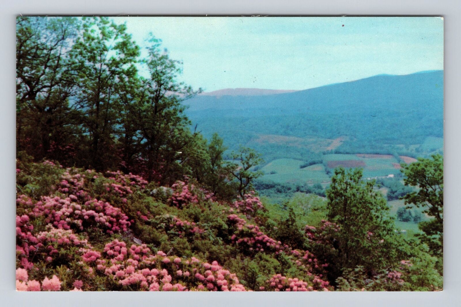 Wytheville VA-Virginia, Sky Ridge At Big Walker, Antique, Vintage Postcard