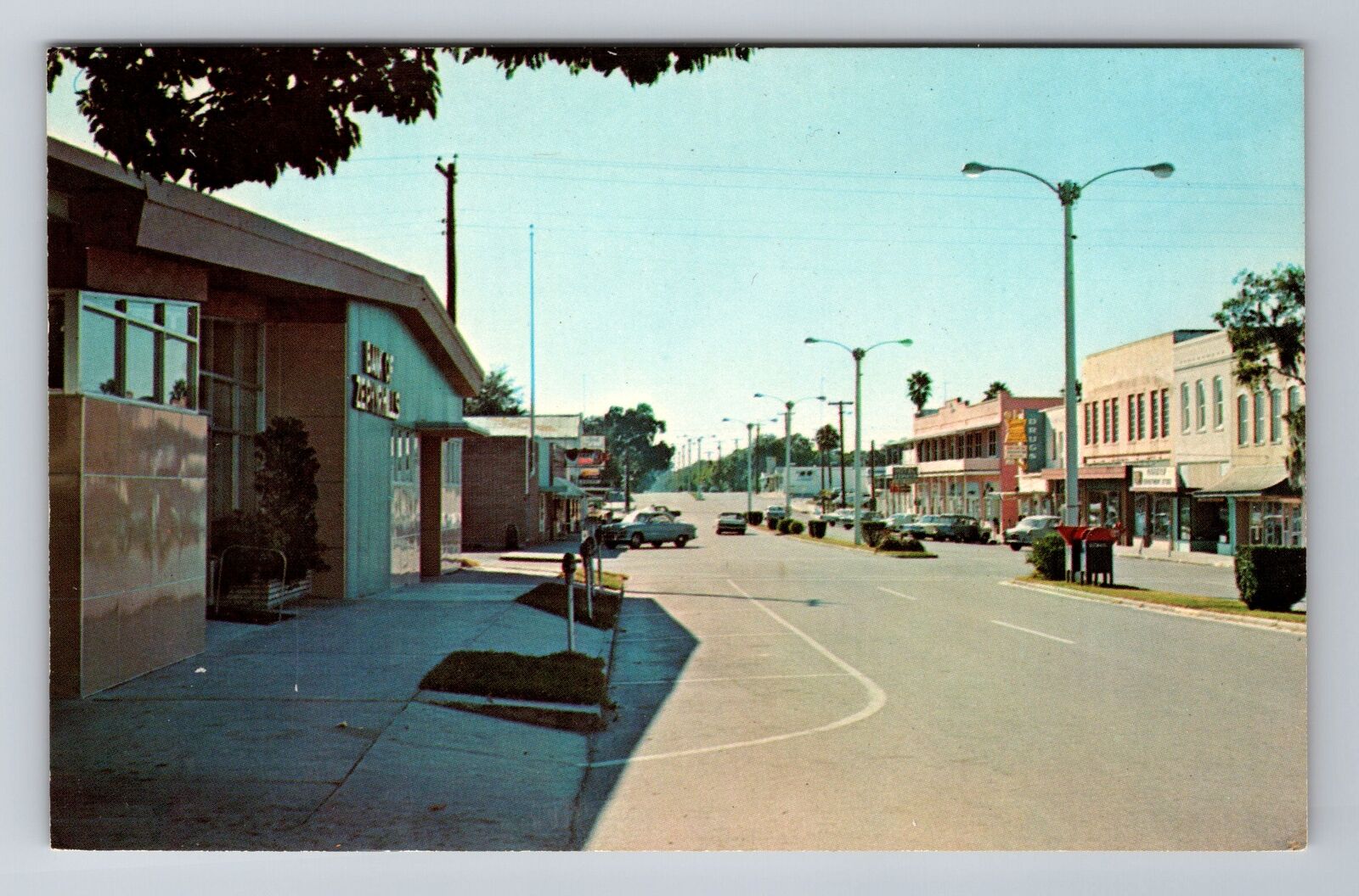 Zephyrhills FL-Florida, View Of Street In Town, Antique, Vintage Postcard