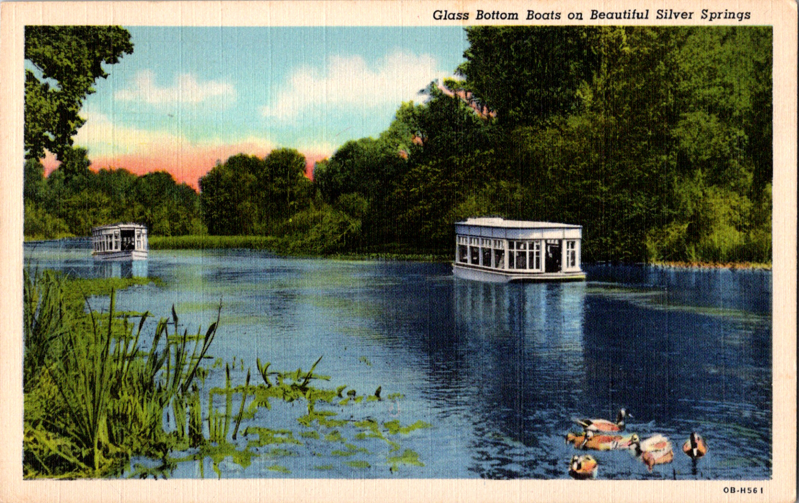 Vintage 1945 Glass Bottom Boat on Beautiful Silver Springs Florida FL Postcard 