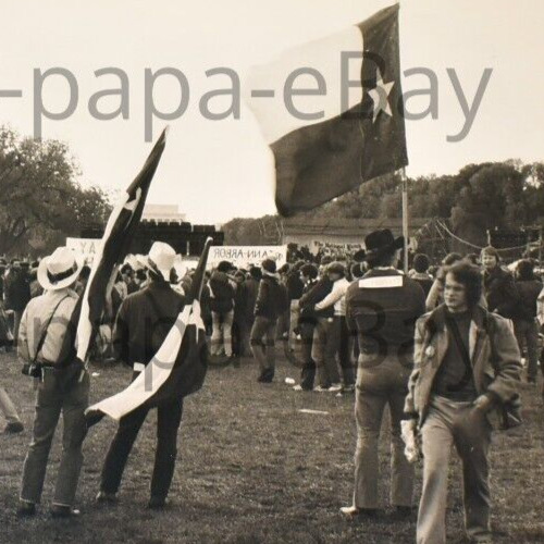 1967 Abraham Lincoln Memorial Anti Vietnam War Protest Texas Flag Photograph #2