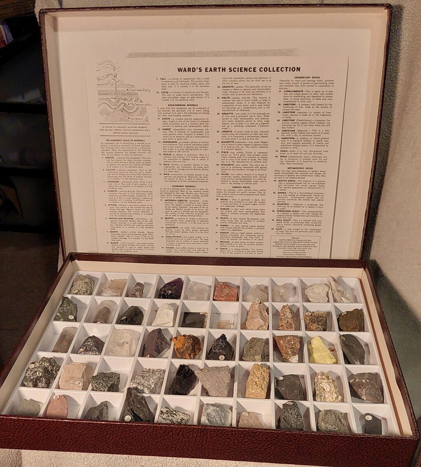 Ward's Earth Science Collection Intro Earth Science  Rocks and Minerals 50 piece
