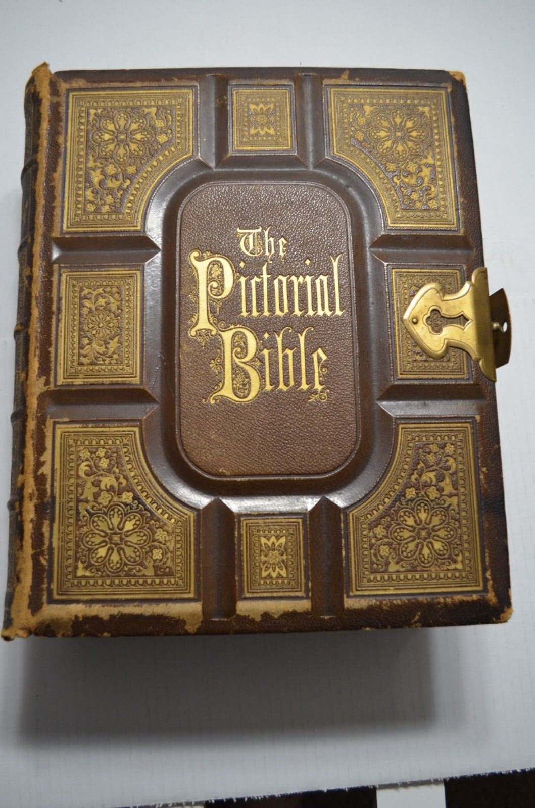 The Pictorial Bible 1873
