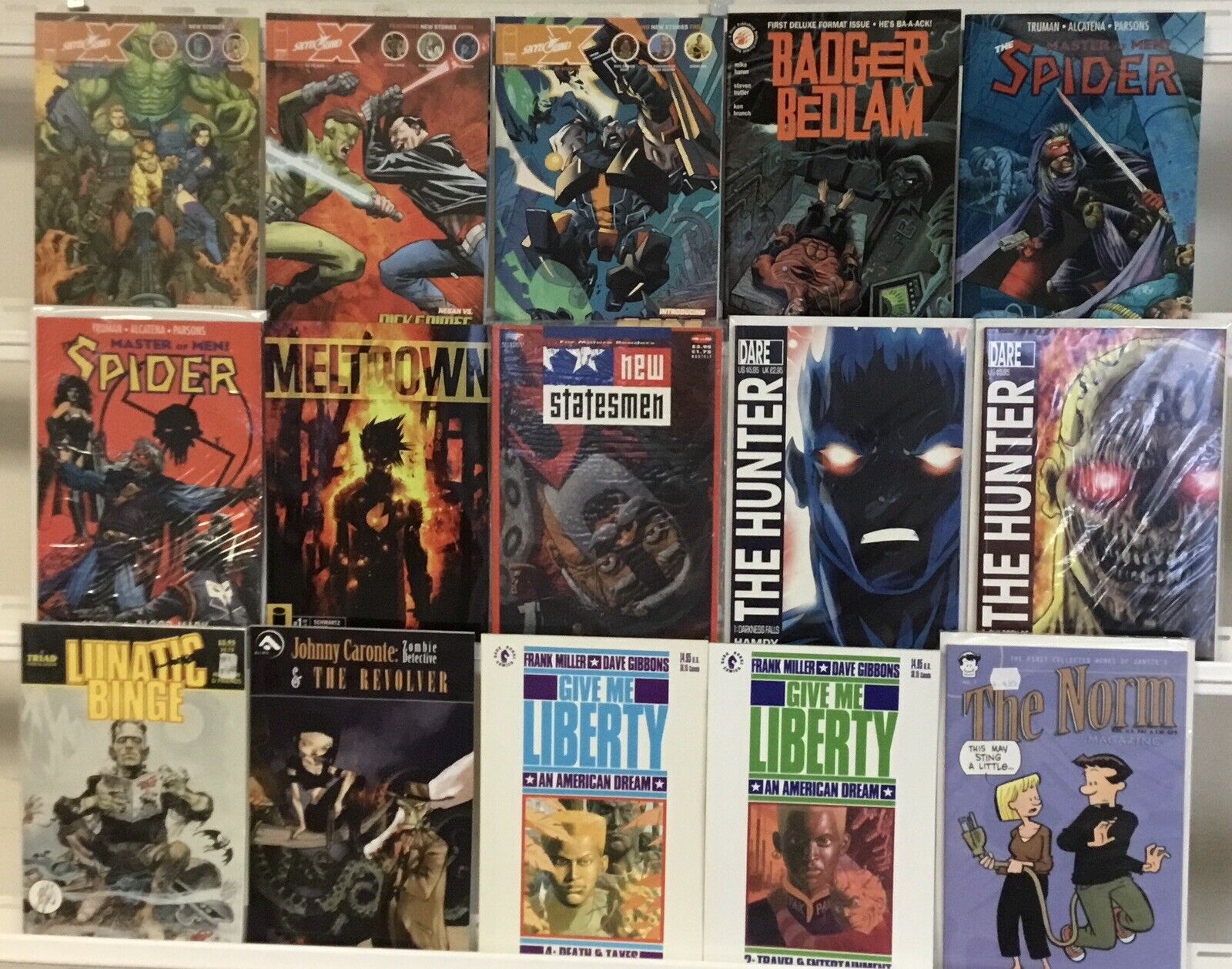Indie Graphic Novel Lot Of 15-Give Me Liberty,The Hunter,Skybound X And More