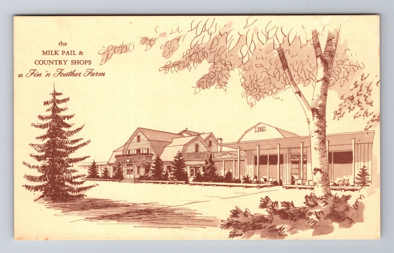 Dundee IL-Illinois, Fin\'n Feather Farm, Advertising, Vintage Souvenir Postcard