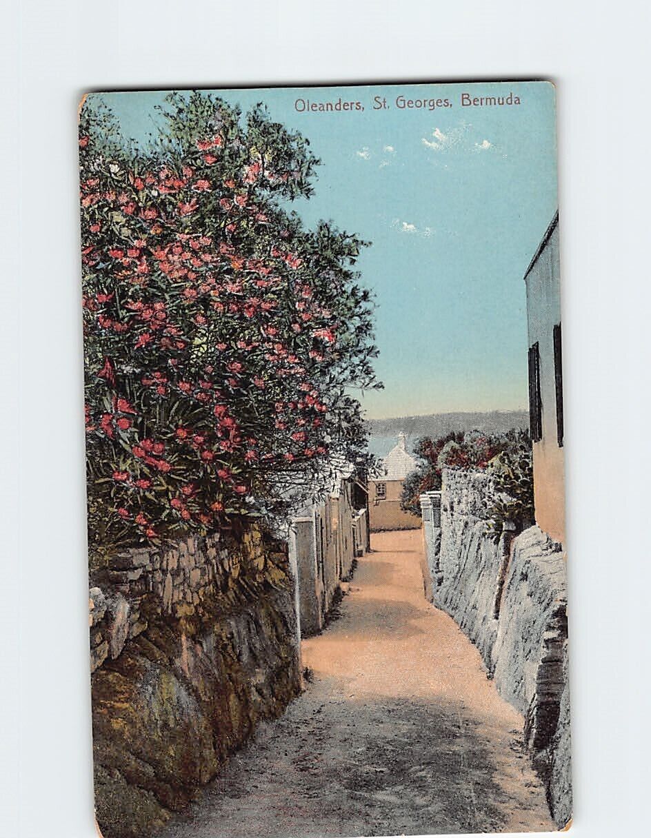 Postcard Oleanders St. Georges Bermuda