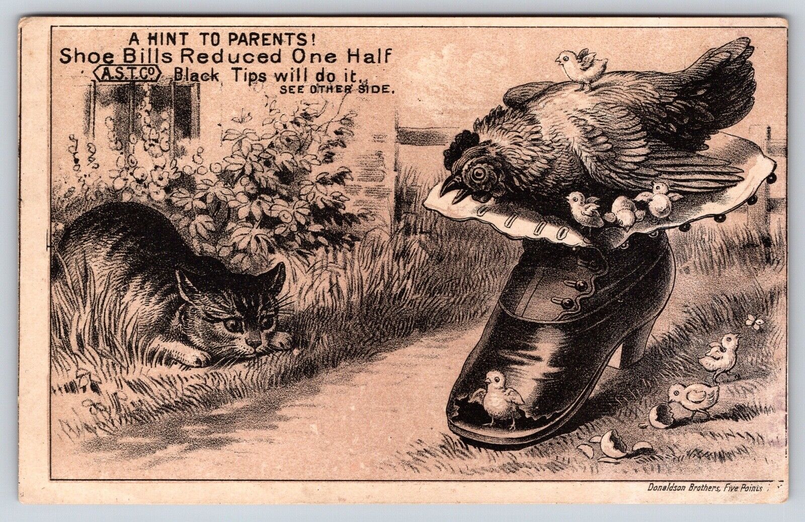 Victorian Trade Card AST CO Black Tip Shoes Cat Chicken Battle Creek MI Antique