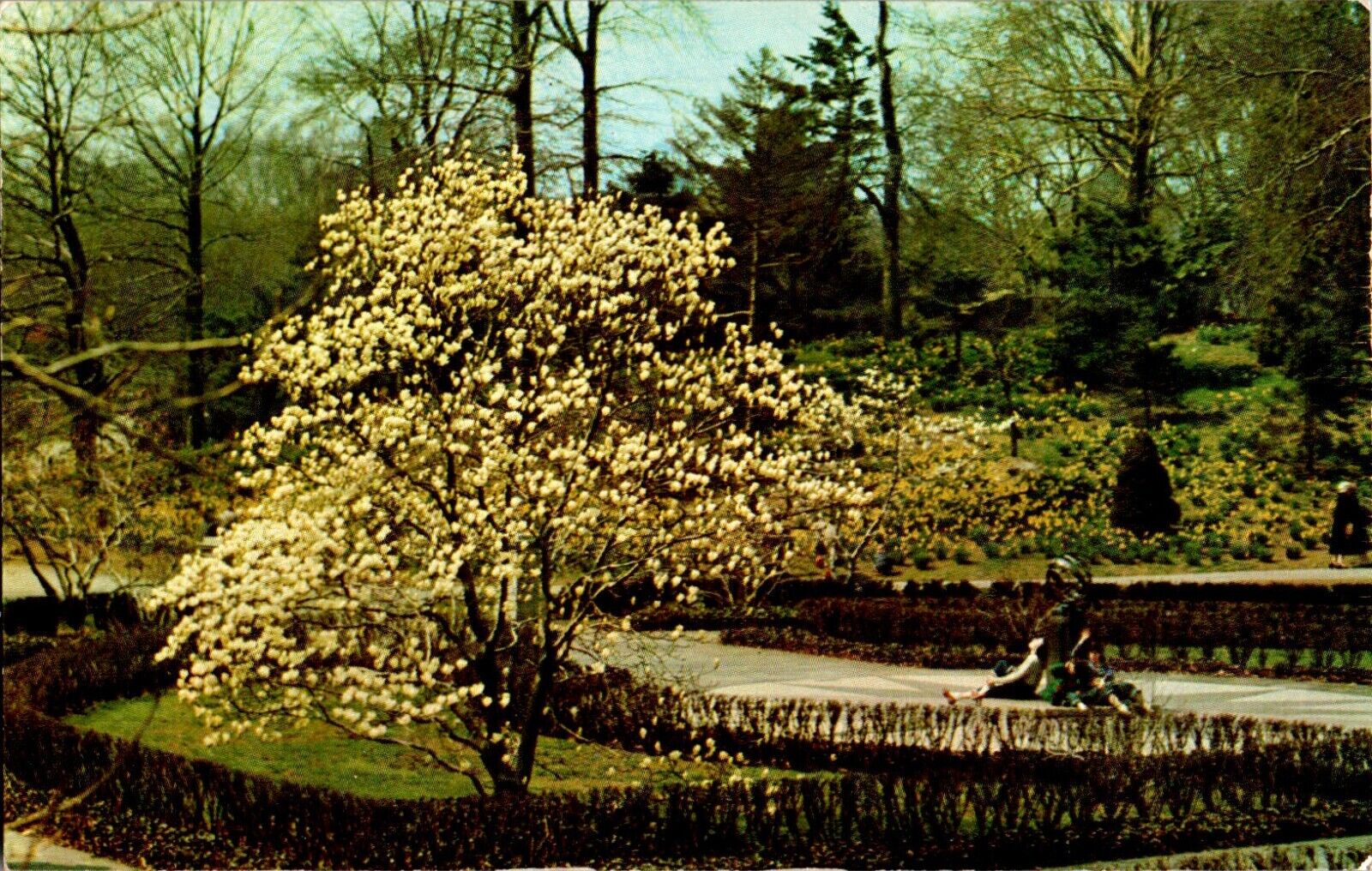 Brooklyn Botanic Garden, Brooklyn, New York NY chrome Postcard