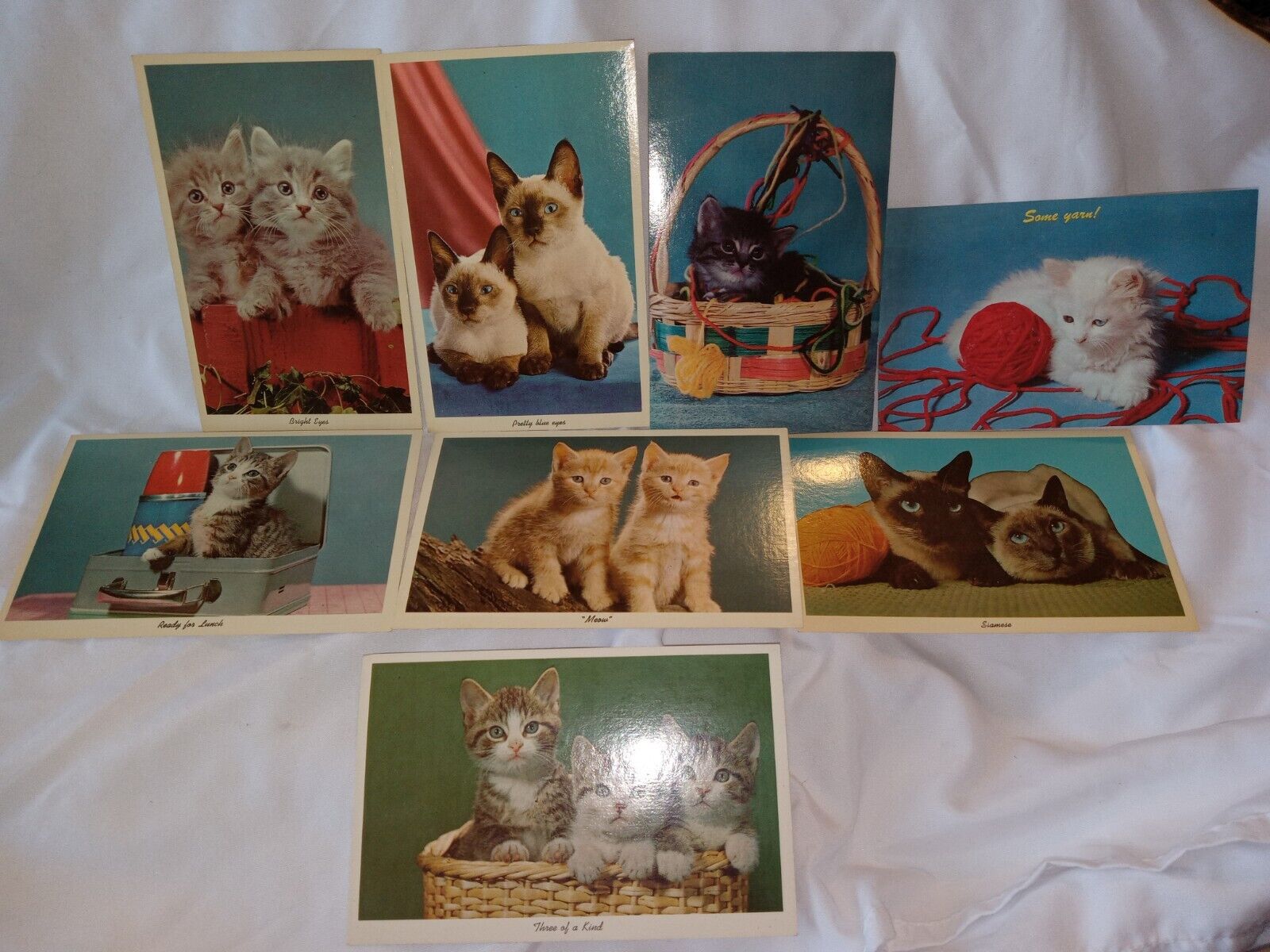 Vintage Cat Kitten Postcards Bright Eyes And More Curteichcolor 3-d natural