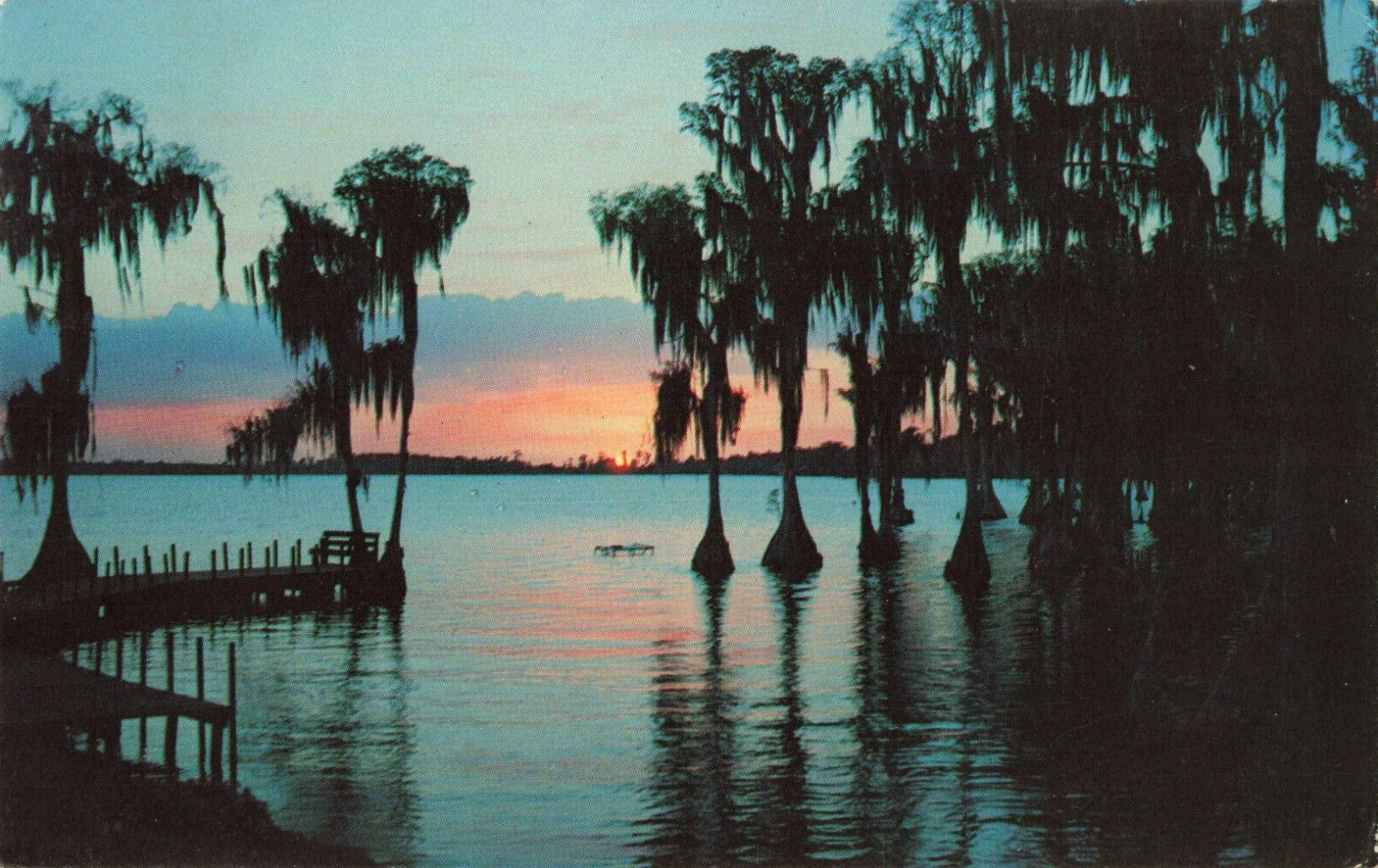 Cypress Gardens FL Florida, Sunset, Cypress Tree Silhouettes, Vintage Postcard