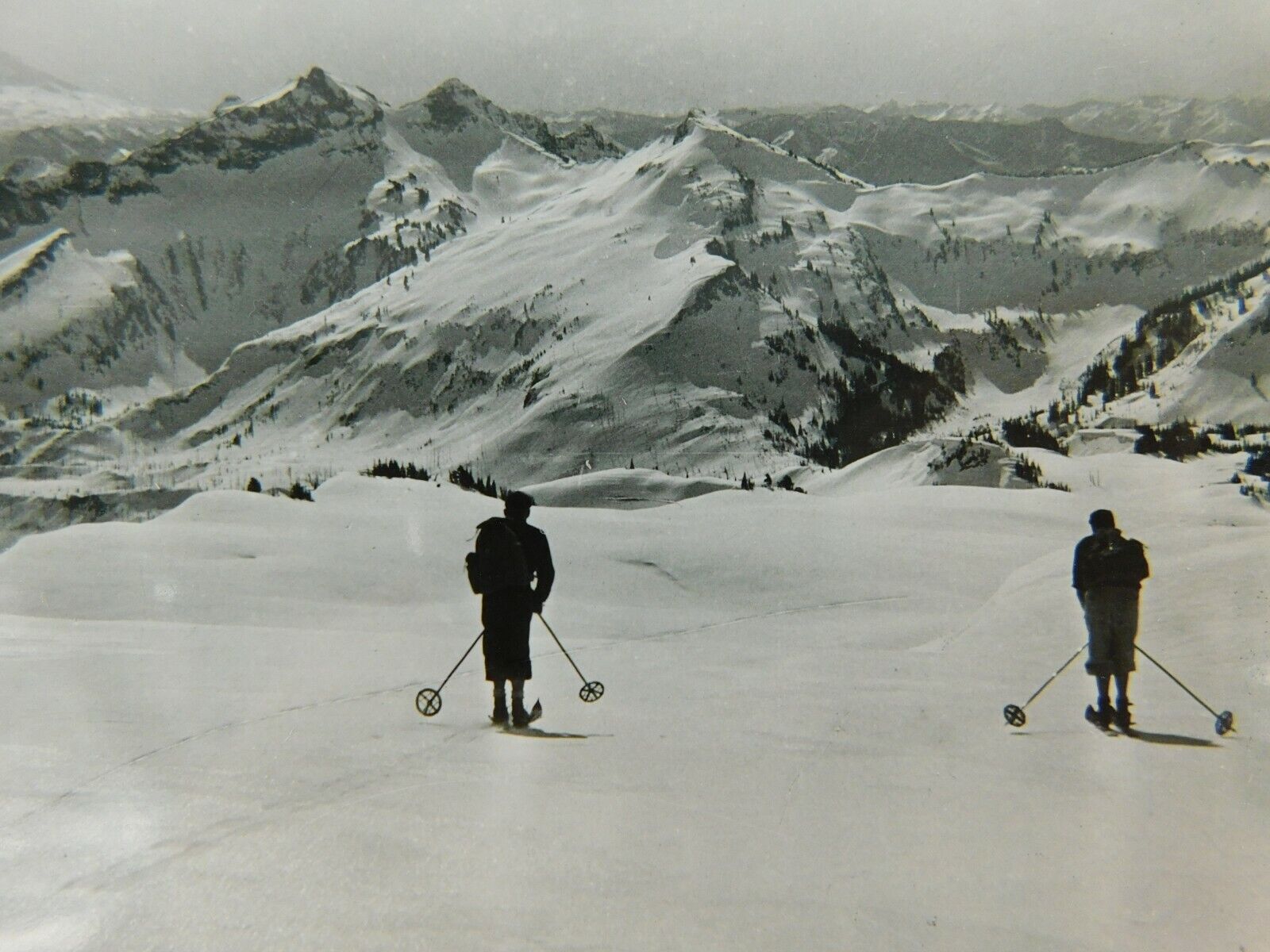 Tatoosh Range Mt Adams Ski Rainier National Park WA Real Photo Vintage Postcard