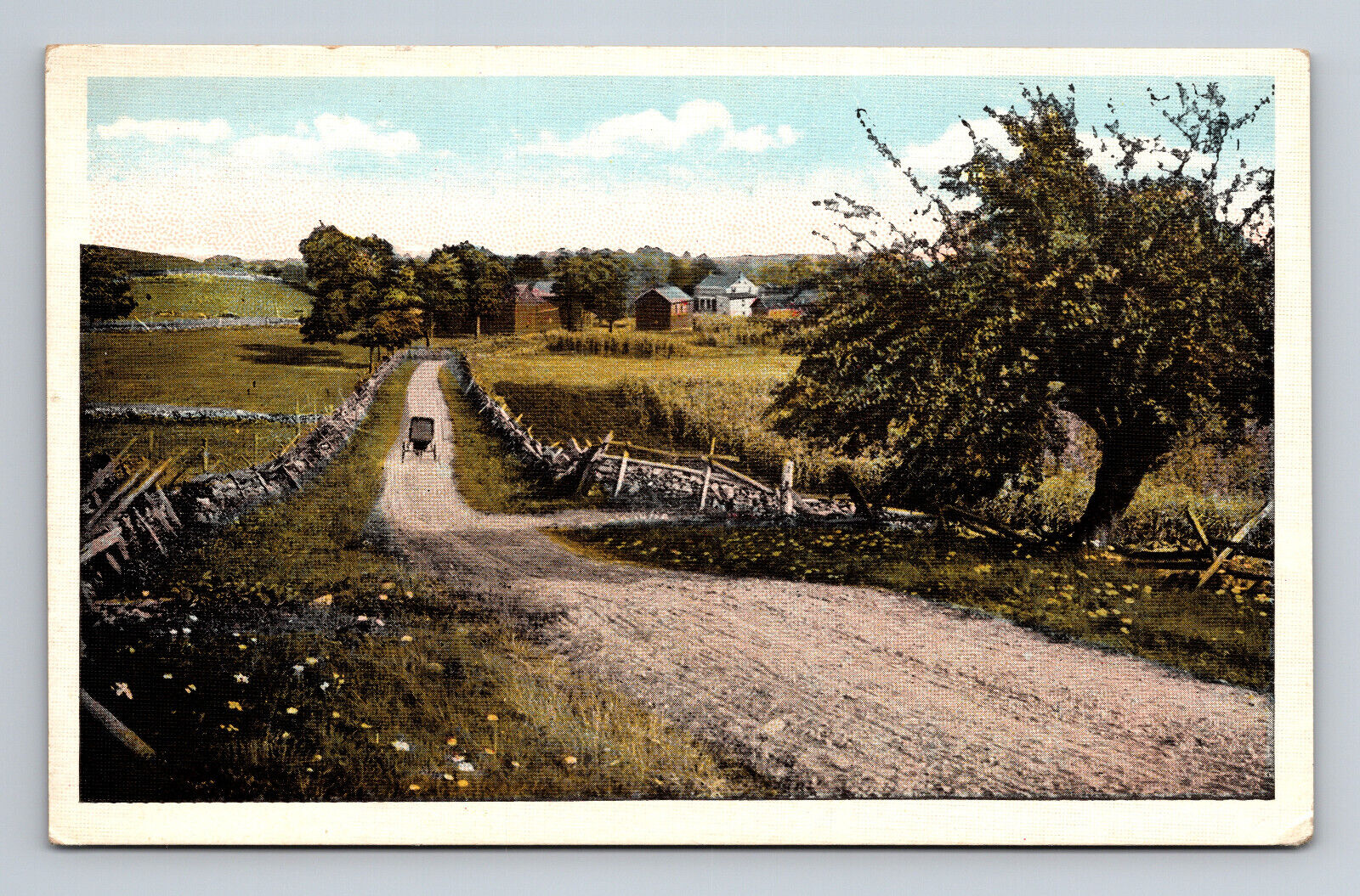 Country Road Poss Arlington Vermont Series 602 Landscapes Postcard Horse Buggy