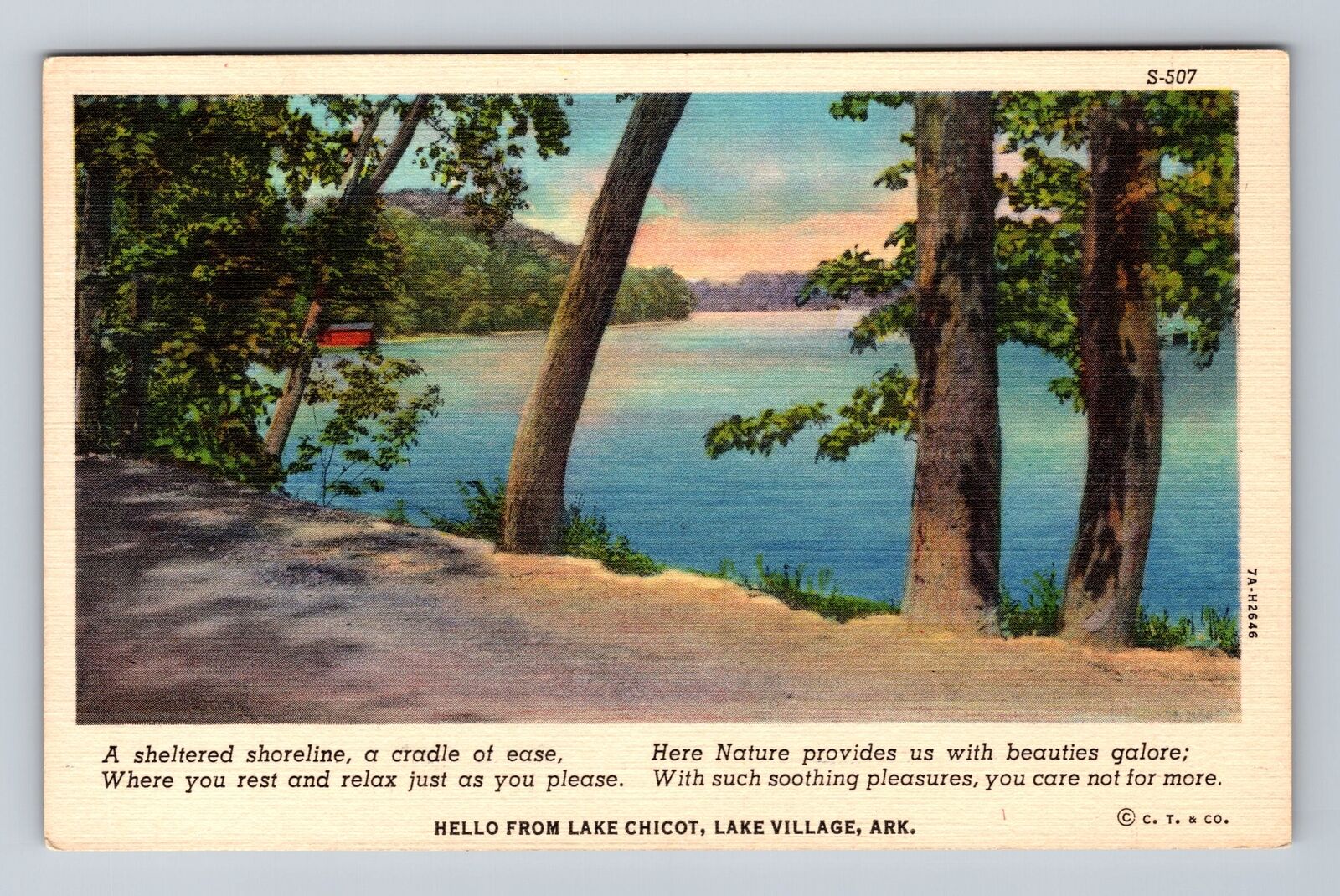Lake Village AR-Arkansas, Scenic Greetings Lake Chicot, Vintage Postcard