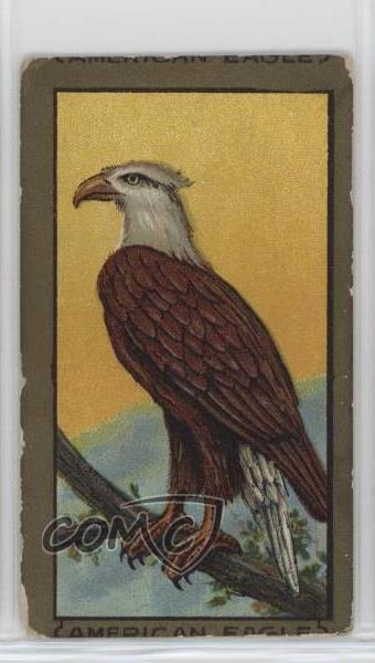 1910 ATC Bird Series T42 Mecca Factory 649 American Eagle 0l4h