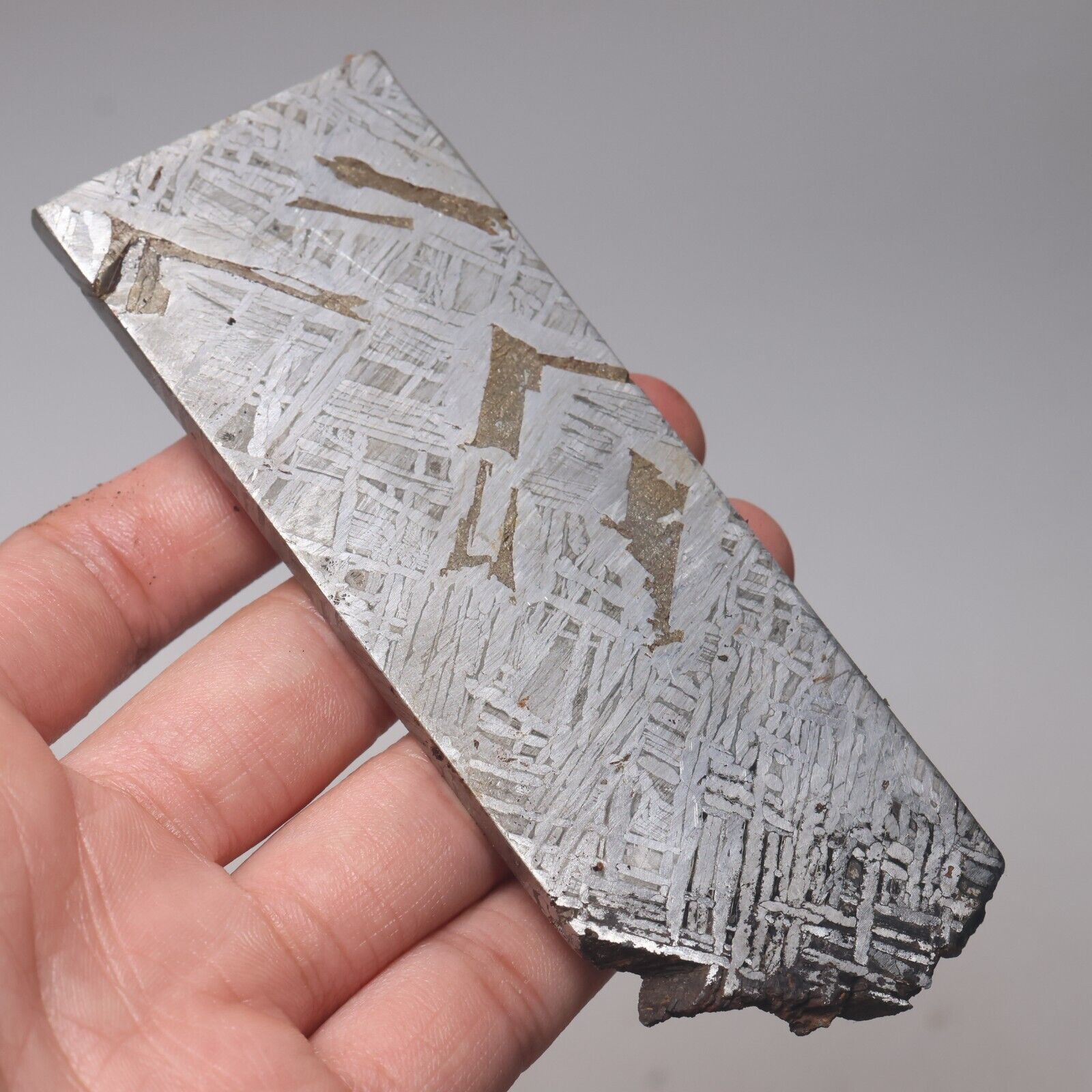 128g  Muonionalusta meteorite part slice C7746