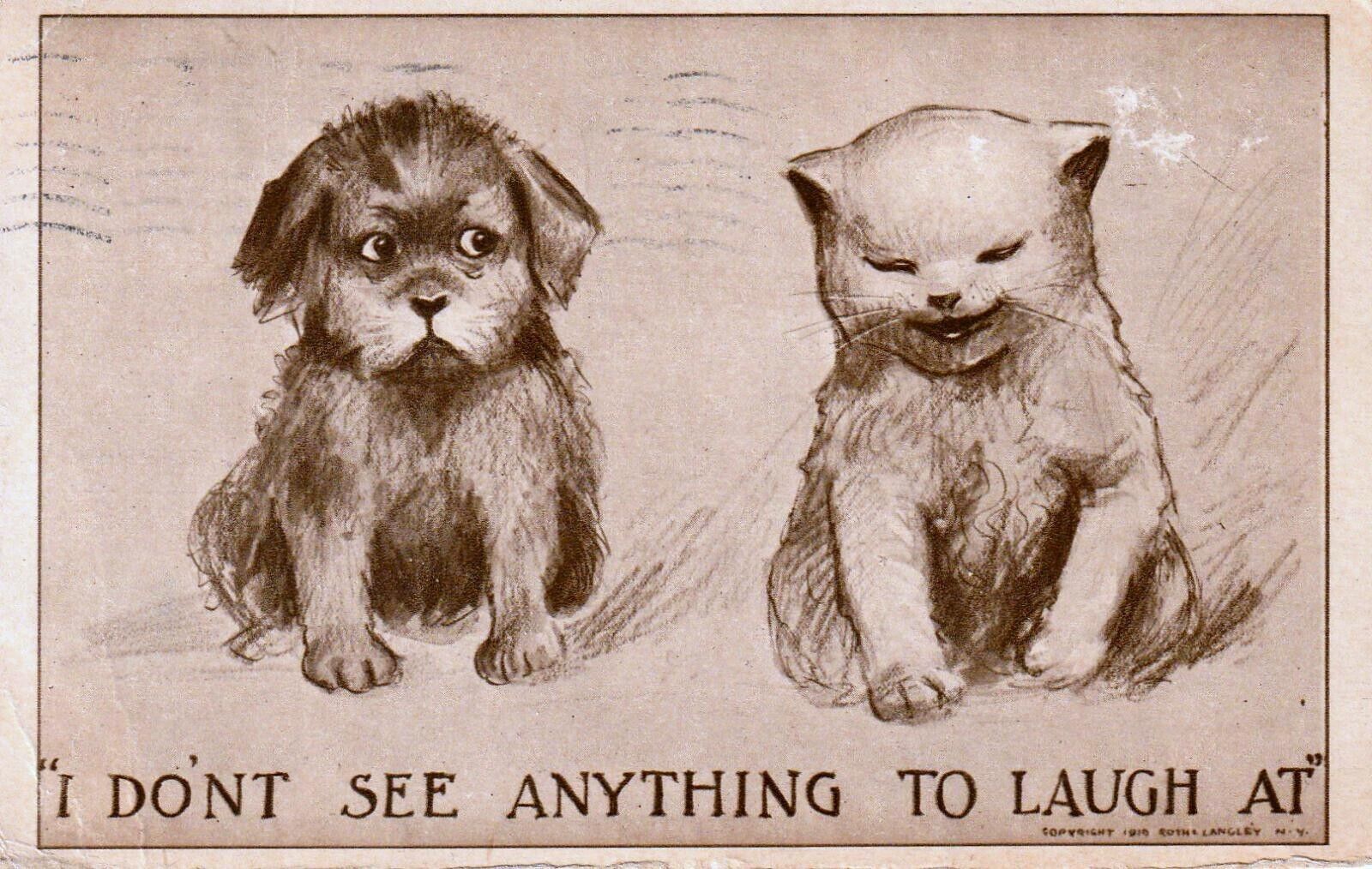 Cat Laughing at Dog - I DON'T SEE ANTHING TO LAUGH AT - R Langley 1910 Postcard