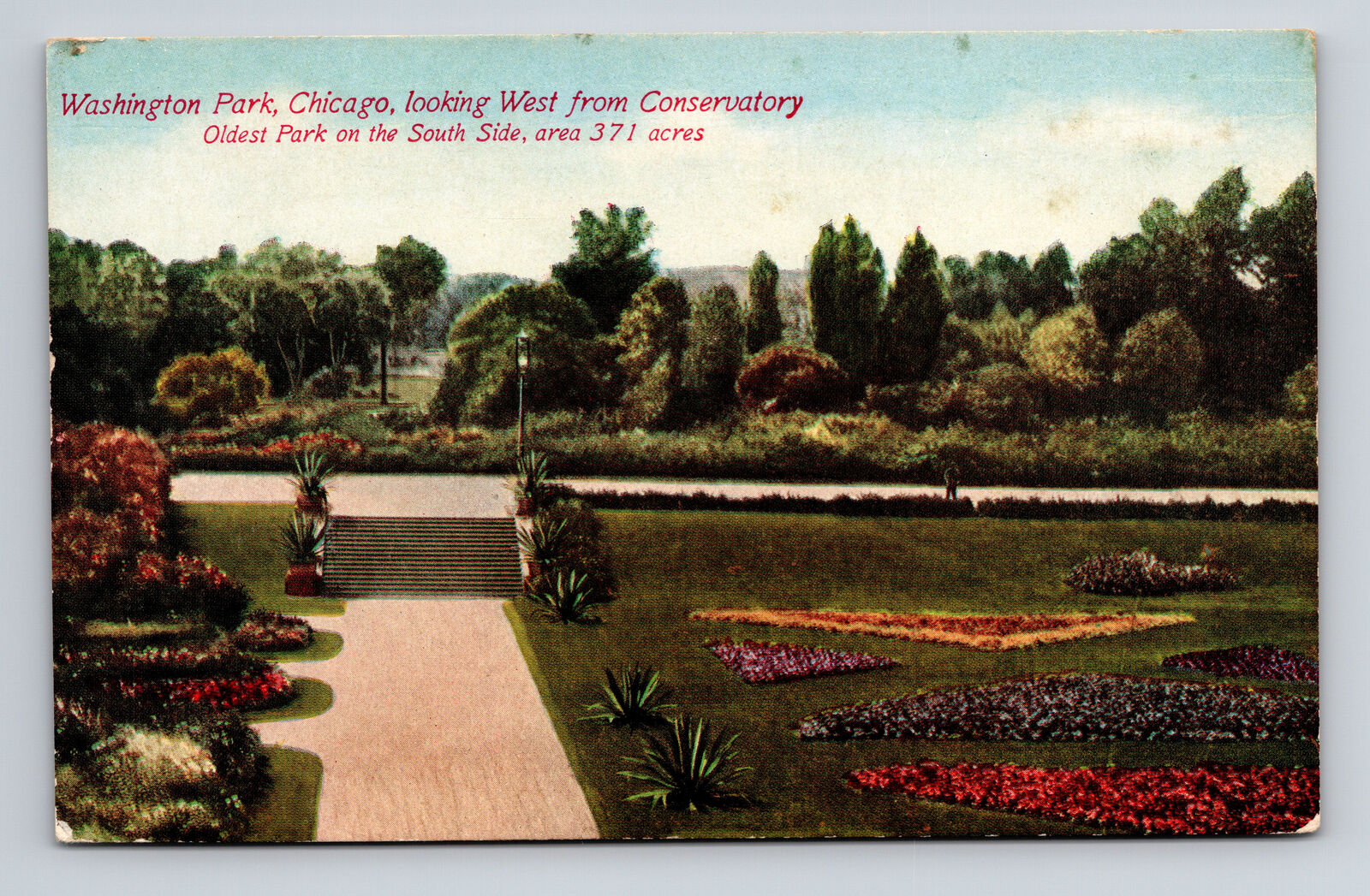 Postcard Chicago IL Illinois Washington Park Looking West from Conservatory