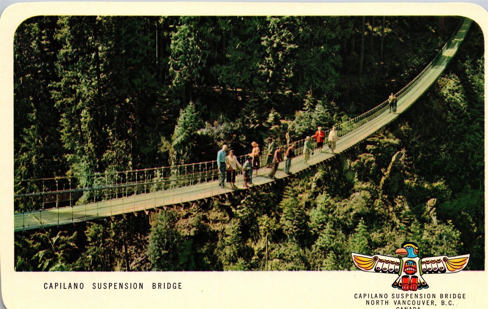 North Vancouver BC Capilano Suspension Bridge Vtg Postcard View Unused
