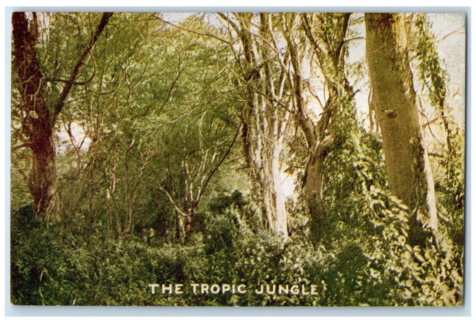 Roosevelt Tour Postcard The Tropic Jungle Topeka Kansas KS c1910's Antique