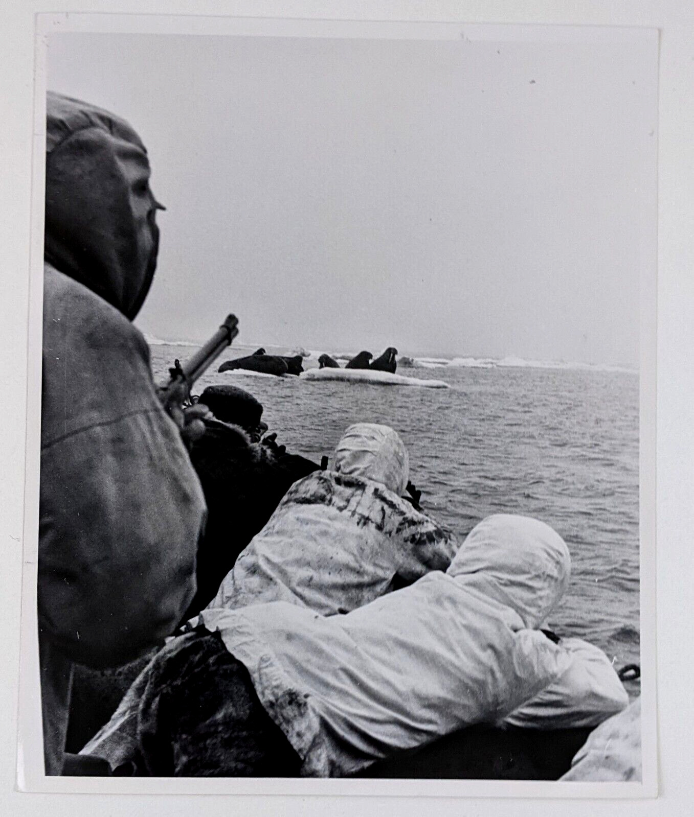 1960s Arctic Alaskan Hunters Walrus Hunting Sea Lion Shoot Vintage Press Photo