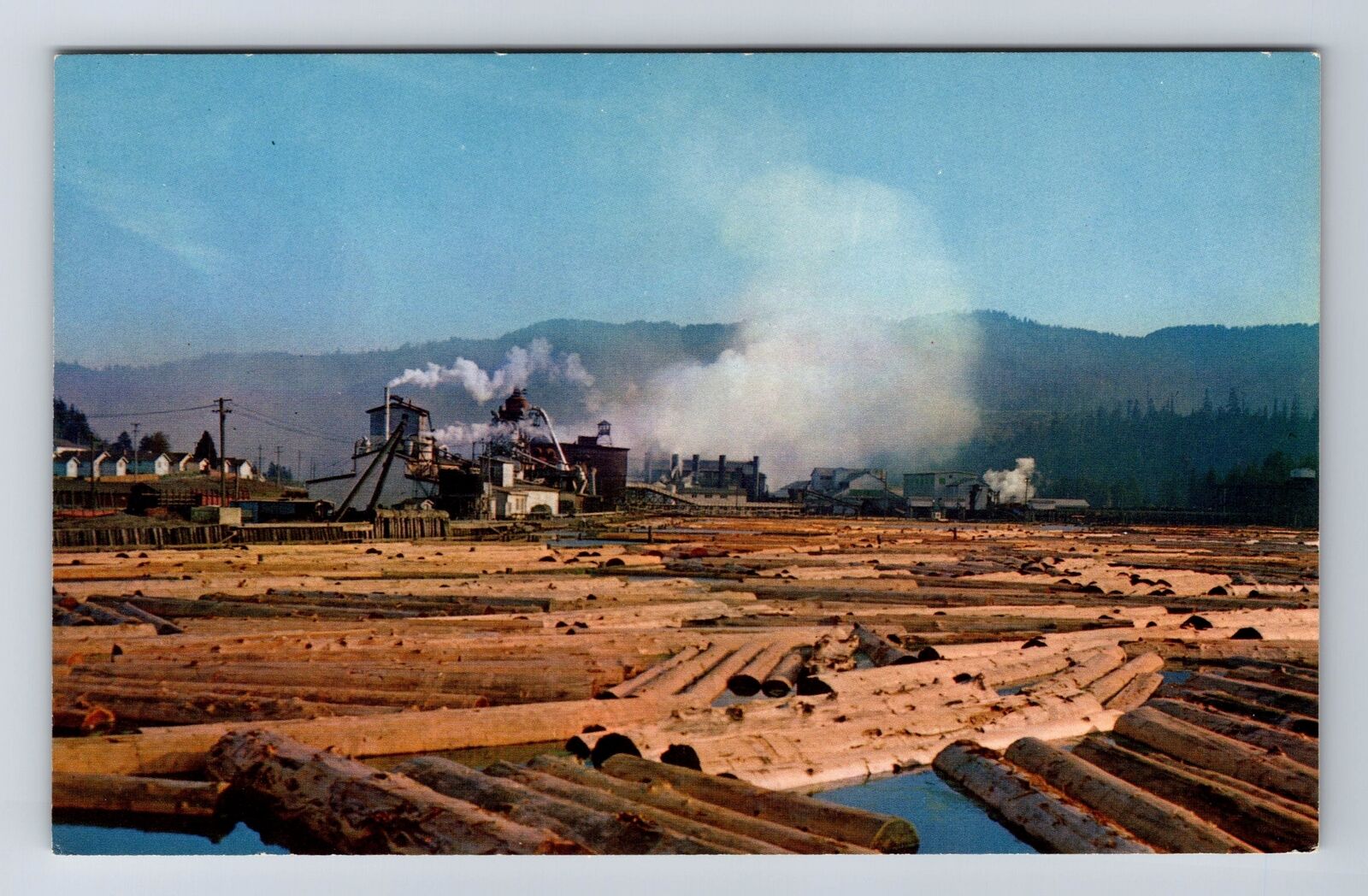 Scotia CA-California, Redwood Lumber Mill, Antique, Vintage Postcard