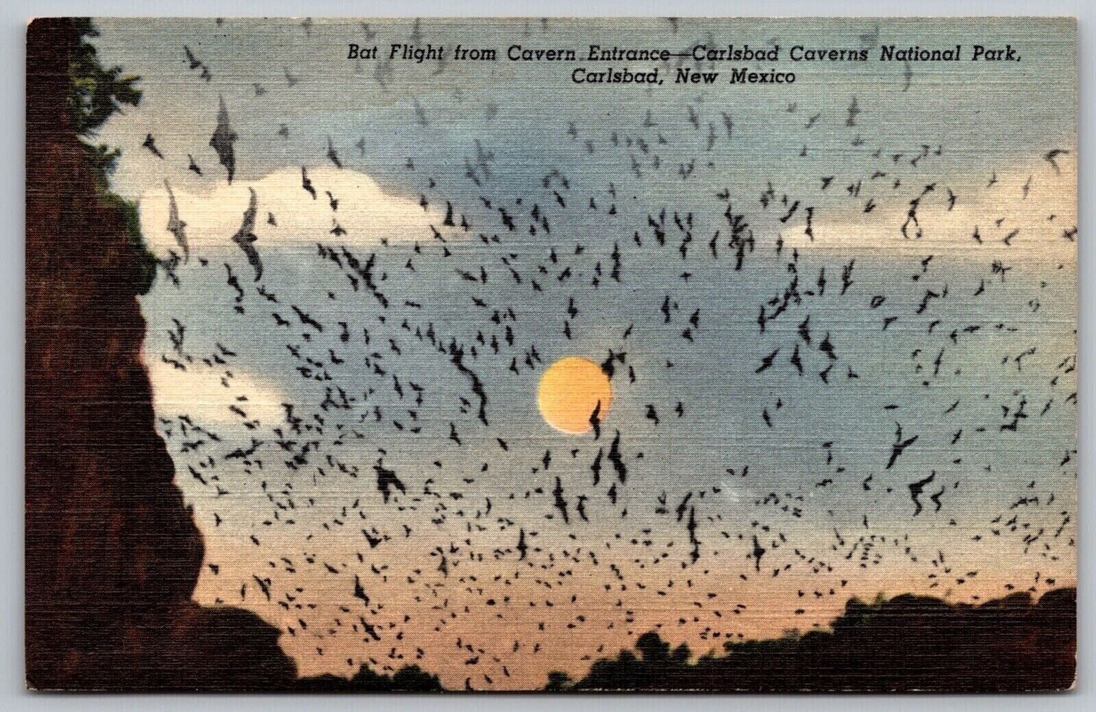 Carlsbad New Mexico Nw Bat Flight From Cavern Entrance Linen Wob Pm Postcard
