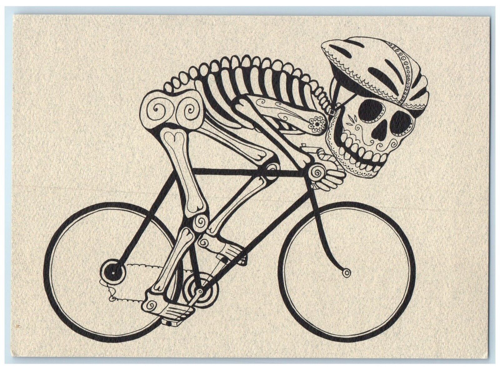 c1990\'s Bicyclist Skeleton From Day Of The Dead Boulder Colorado CO Postcard