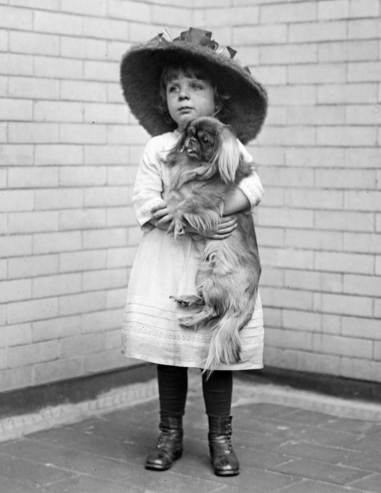1915 Young Girl with Her Dog Vintage Old Puppy Photo 8.5\