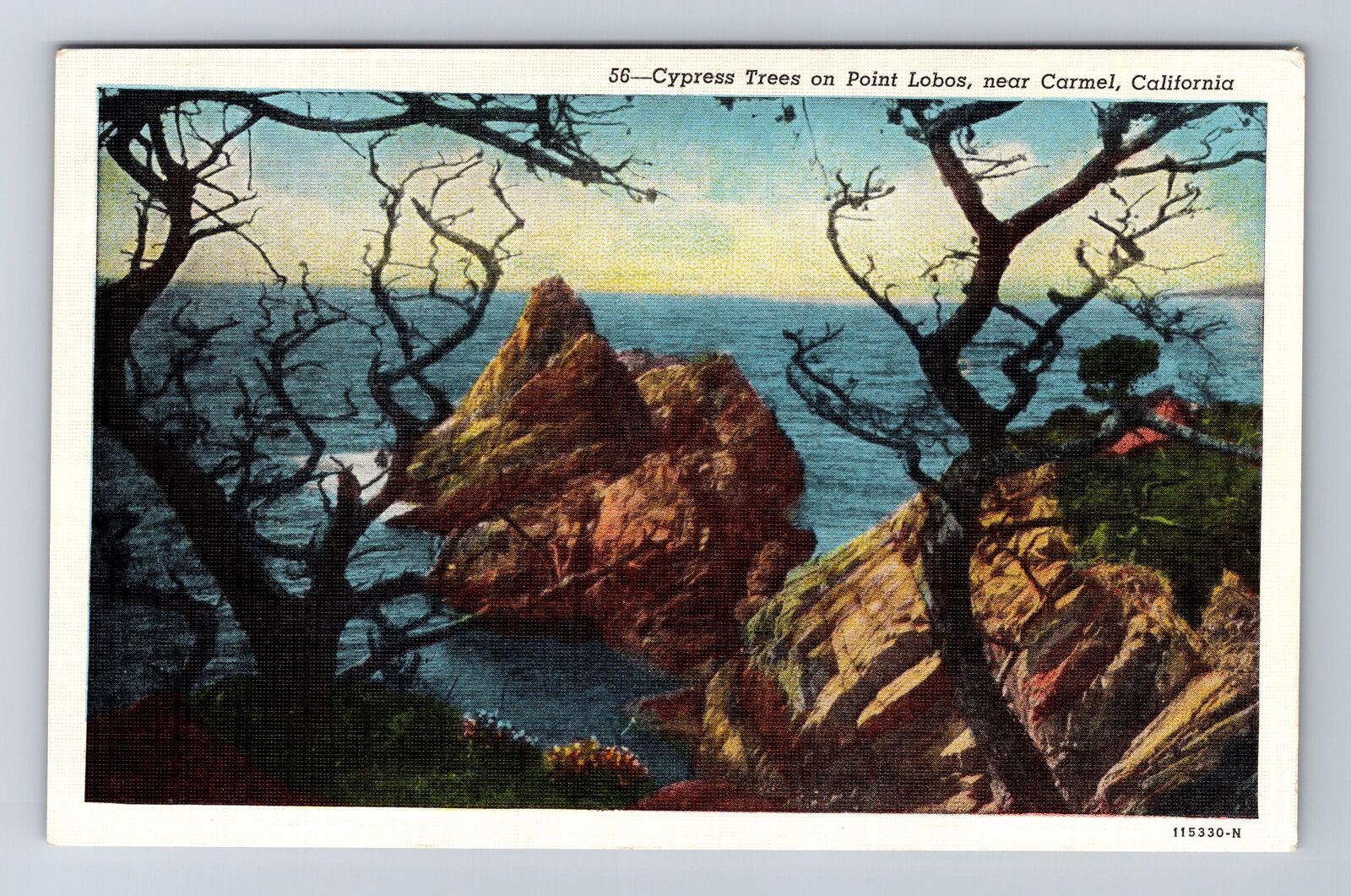 Carmel CA-California, Cypress Trees On Point Lobos, Antique, Vintage Postcard