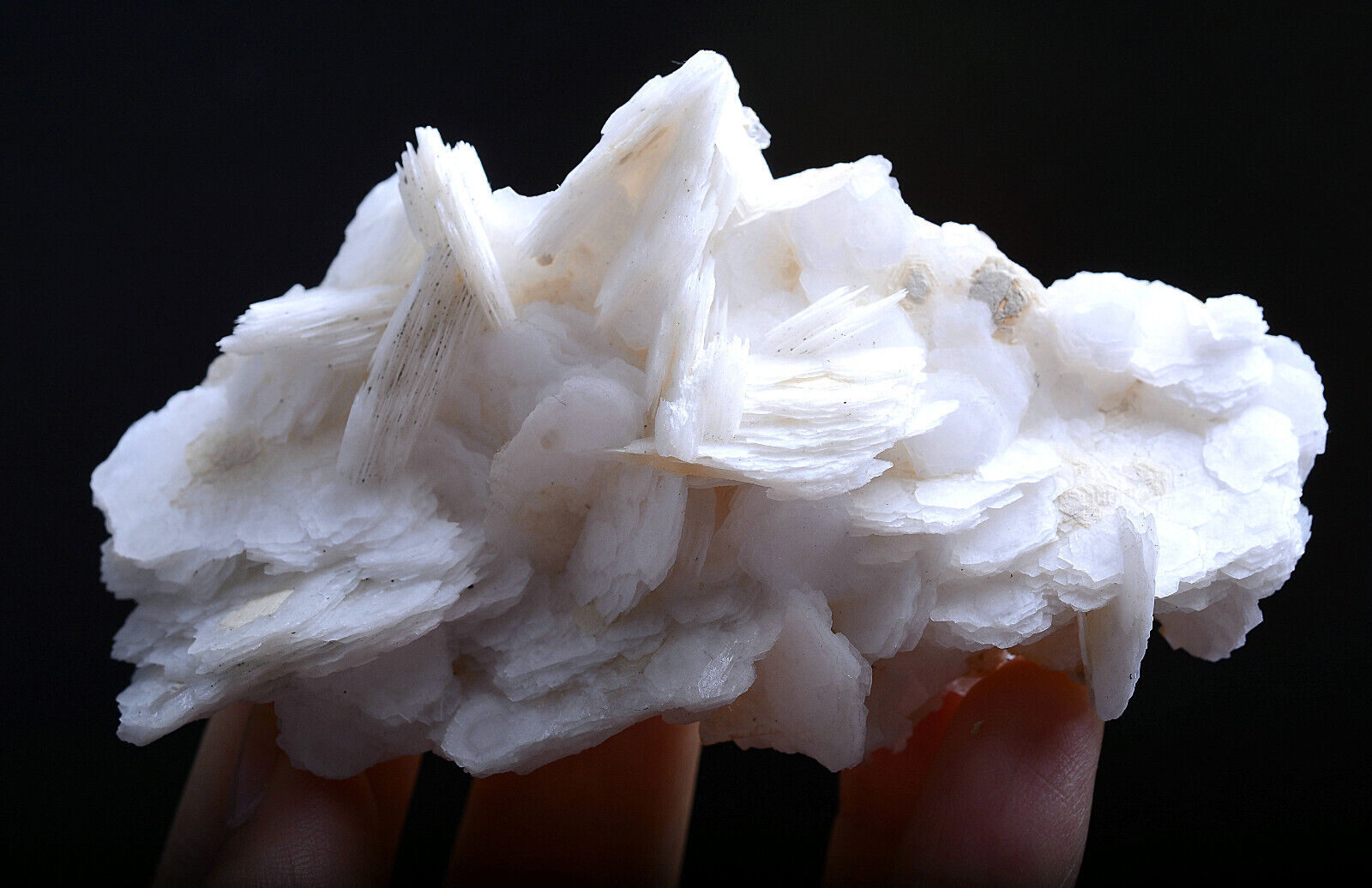 78.g New Find Natural Rare White Ladder-Like Calcite & Crystal Mineral Specimen