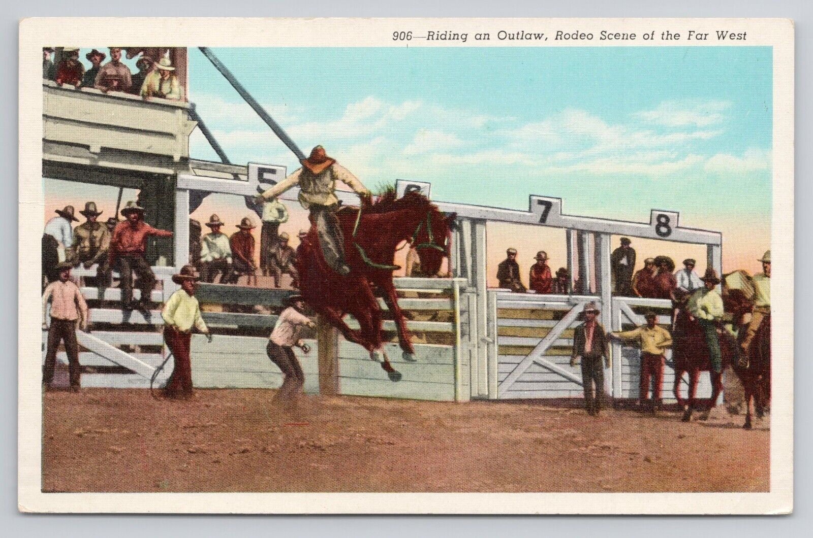 Postcard Riding An Outlaw Rodeo Scene Of The Far West