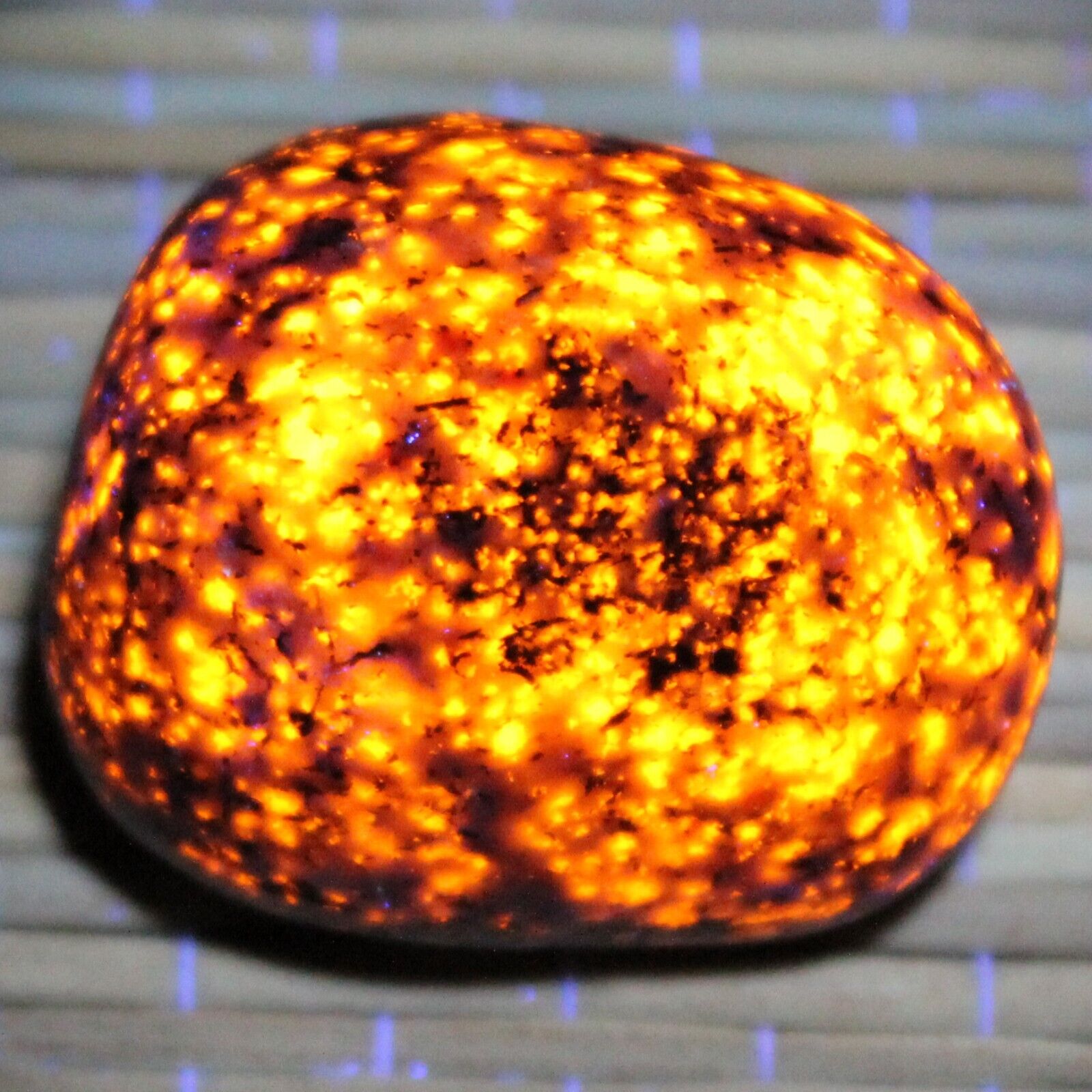 BRIGHT Yooperlite Rock from Lake Superior Fluorescent Sodalite Glowing Stone X7
