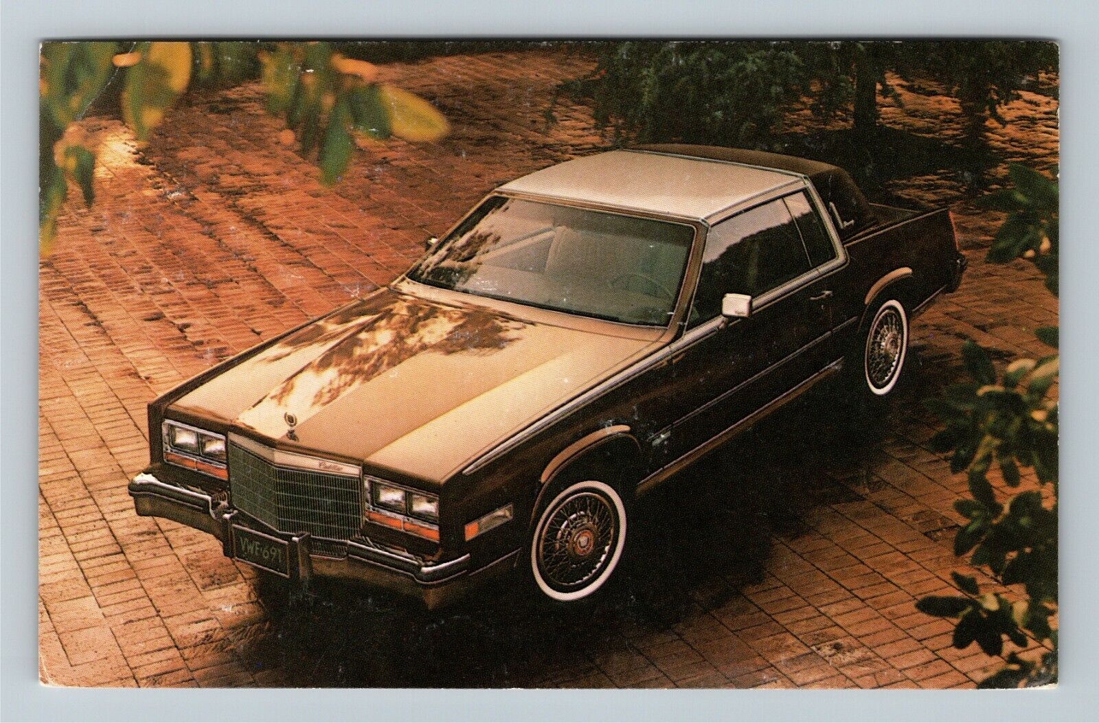 Cadillac For 1982, Vintage Postcard
